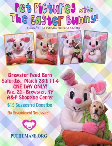 Pet Pictures with Easter Bunny 2015