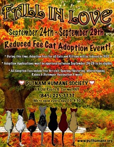 Fall in Love Cat Adoption Event