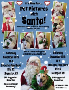 Pet pictures with Santa 2015 dog