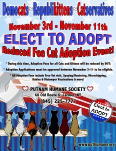 Elect to Adopt Cat Adoption Event 2015