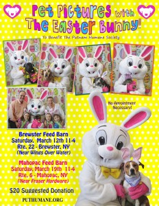 Pet Pictures with the Easter Bunny 2016