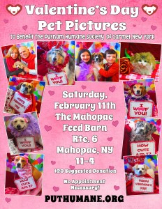 2017 Valentine's Day Pet Pictures