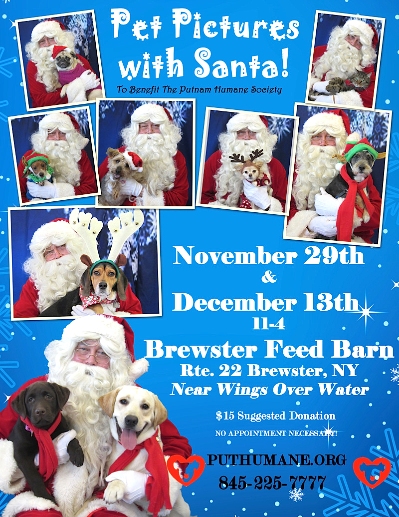 Upcoming Events Pet Pictures With Santa At The Feed Barn In