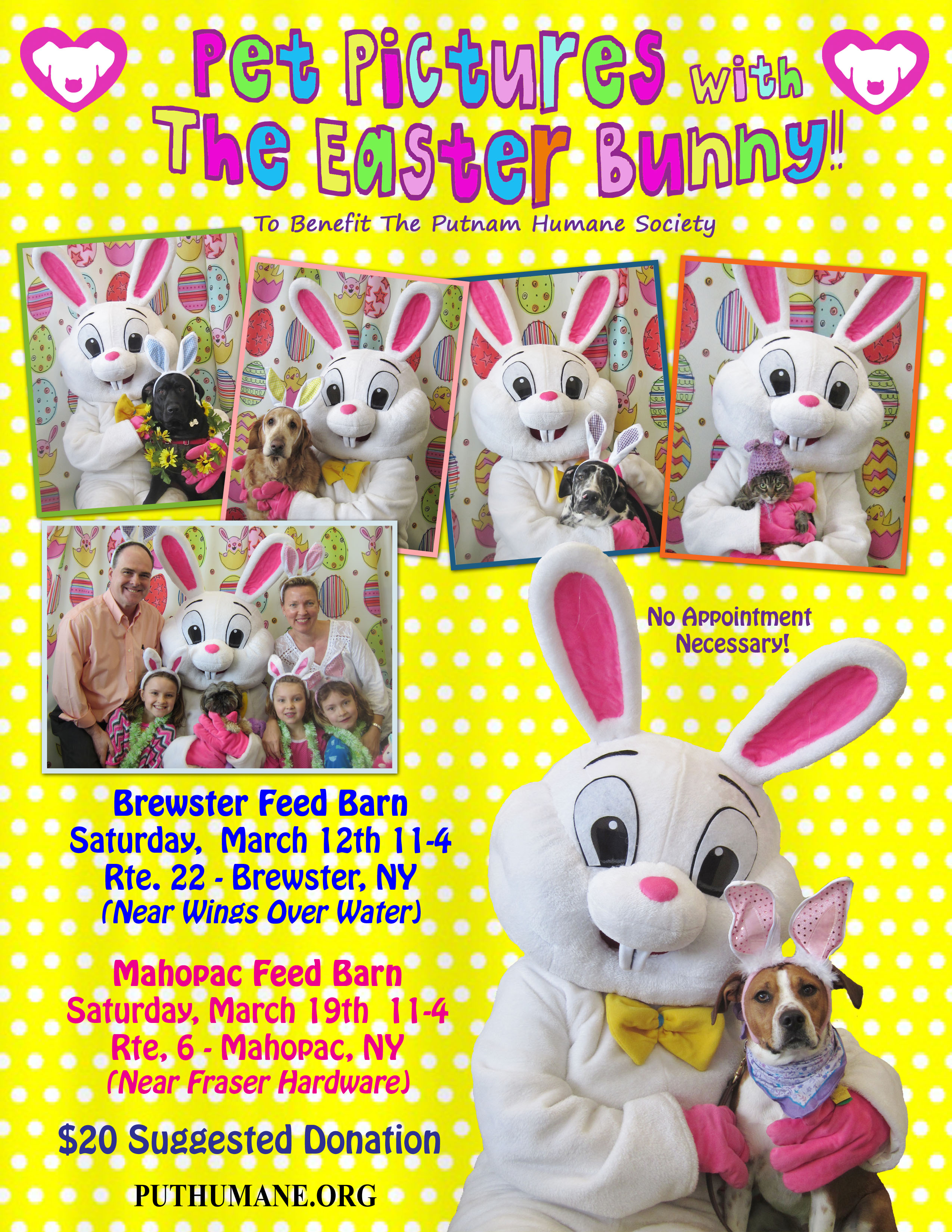 Upcoming Events Pet Pictures With The Easter Bunny At The