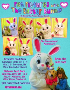 Past Events Events Putnam Humane Society